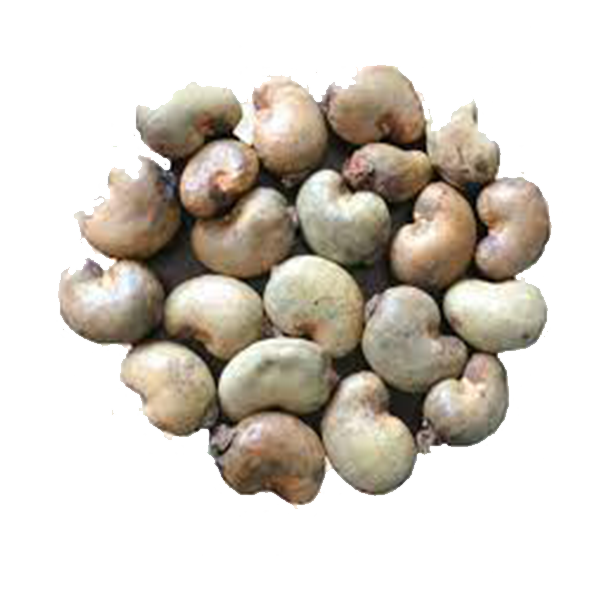 Cashew Nuts